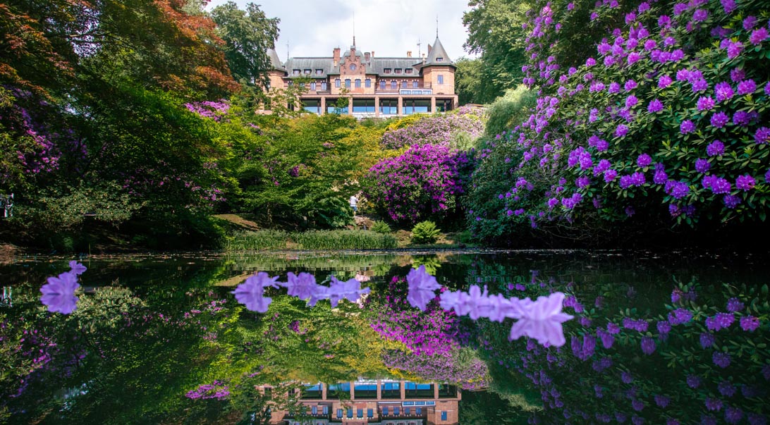 Skåne 18/8, 7 dagar